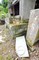 墓内のハチミツ狙いクマが石扉破壊　福井県指定文化財の史跡荒らす